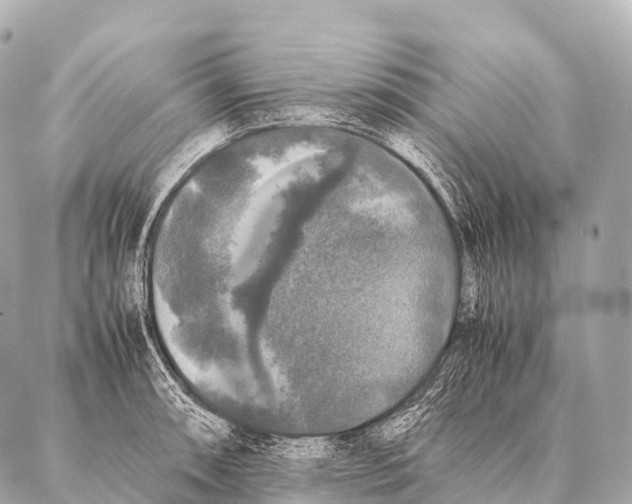 X0000087021090200705141850