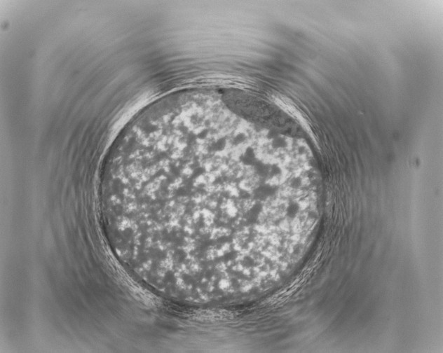 X0000087021091200705141850