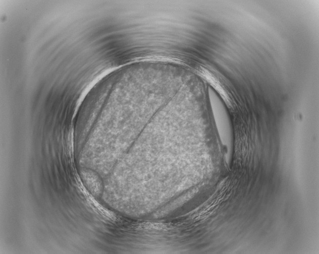 X0000087021092200705141850