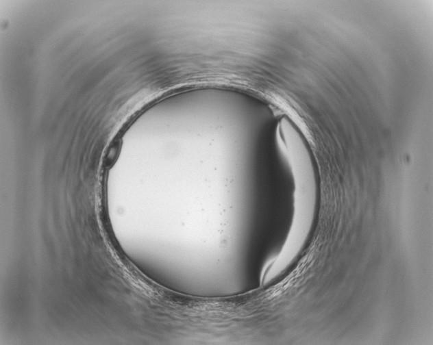 X0000087021093200705141850