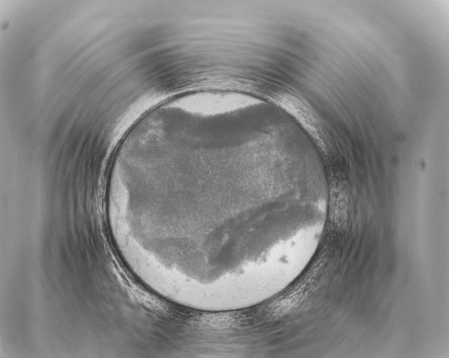 X0000087021094200705141850