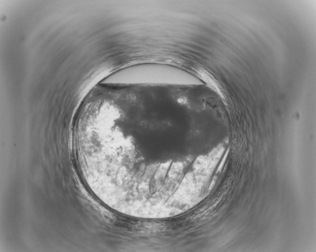 X0000087021095200705141850