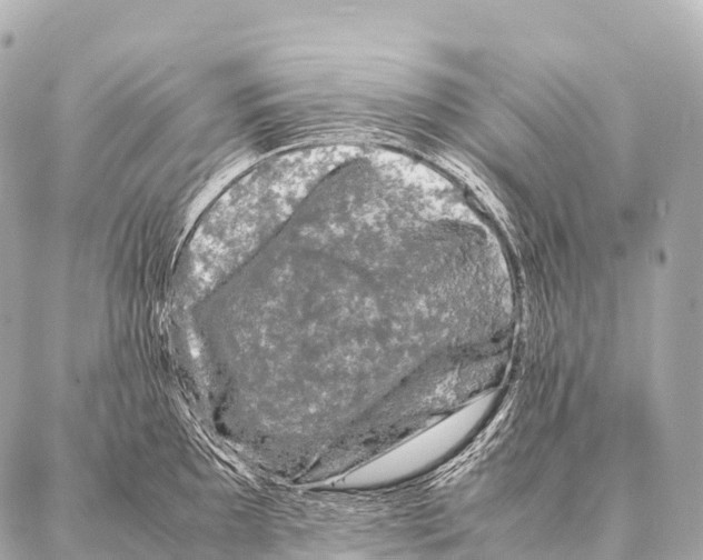 X0000087021097200705141850