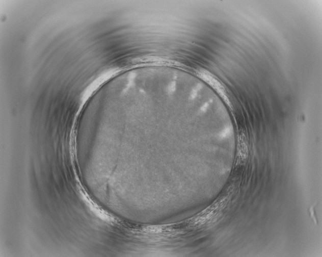 X0000087021098200705141850