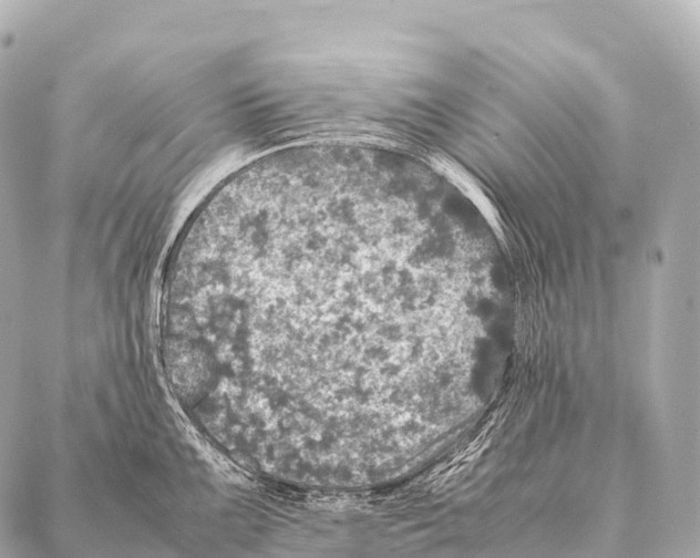 X0000087021099200705141850