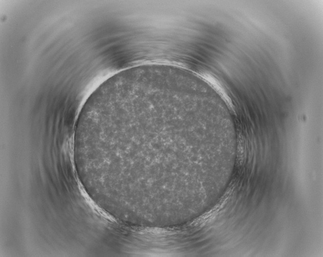 X0000087021100200705141850