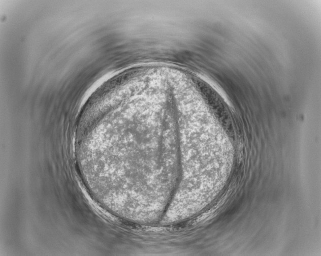 X0000087021101200705141850