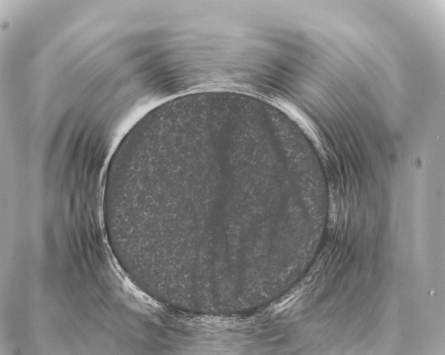 X0000087021102200705141850