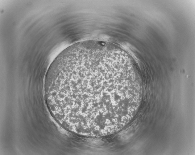 X0000087021103200705141850