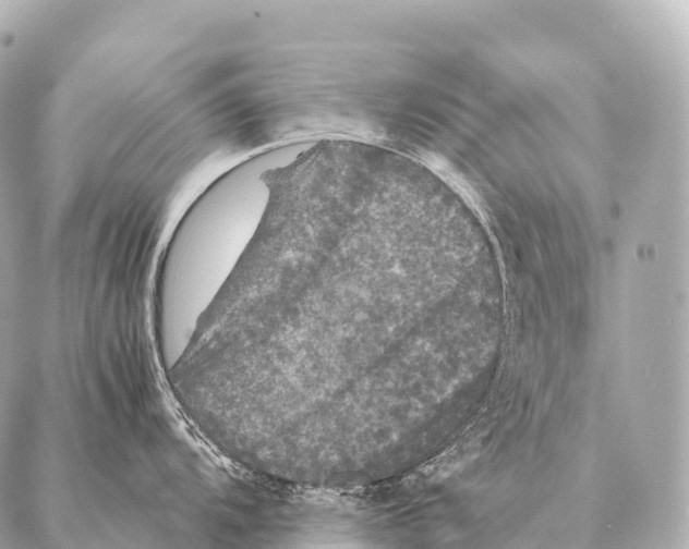 X0000087021104200705141850