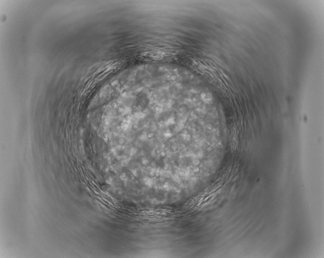 X0000087021105200705141849