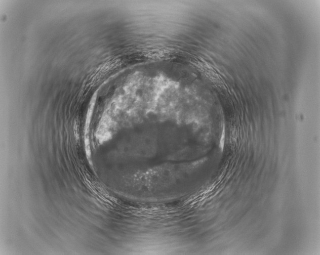 X0000087021106200705141849