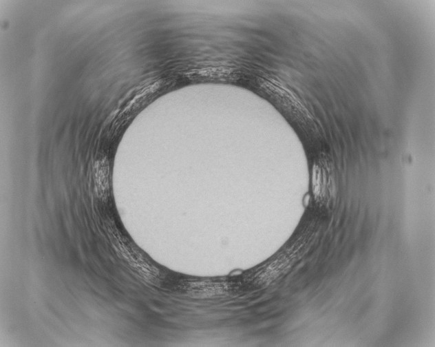 X0000087021107200705141849