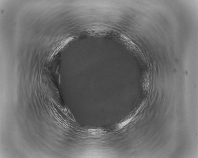 X0000087021108200705141849