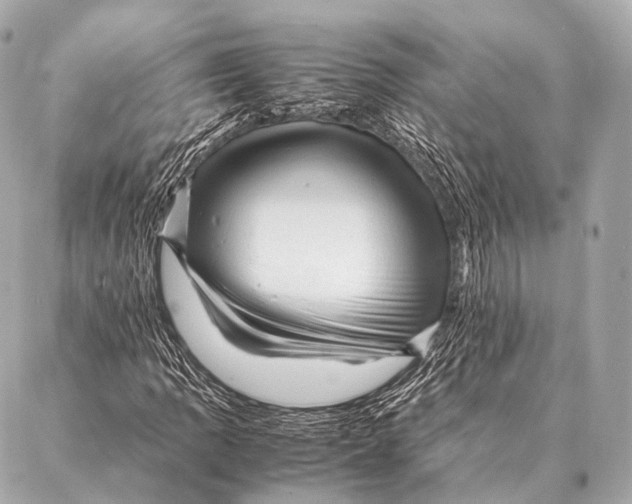 X0000087021109200705141849