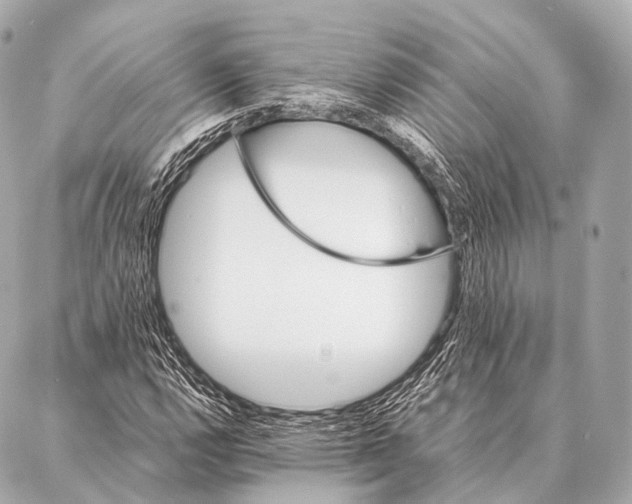 X0000087021112200705141849