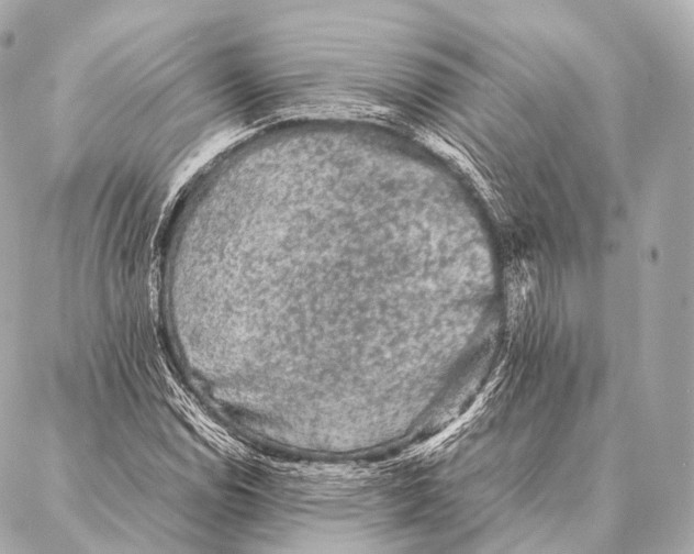 X0000087021114200705141849