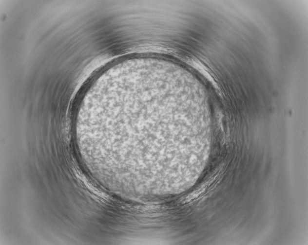 X0000087021116200705141849