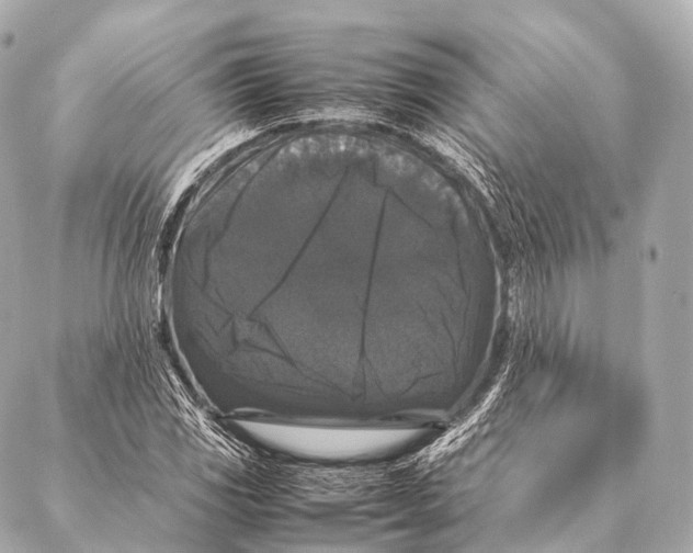 X0000087021117200705141849