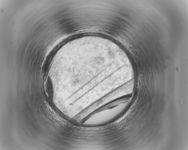 X0000087021118200705141849