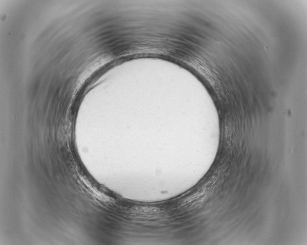 X0000087021119200705141849