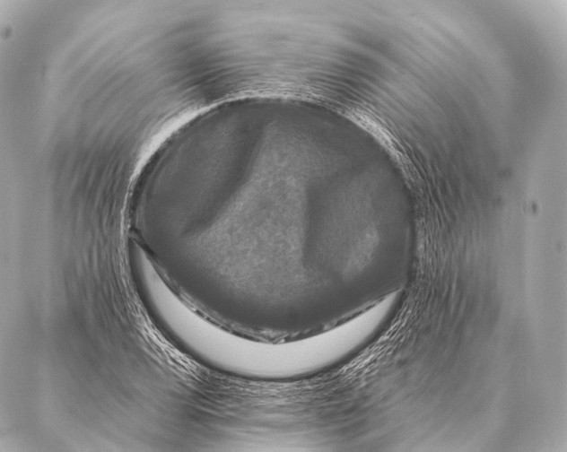 X0000087021120200705141849