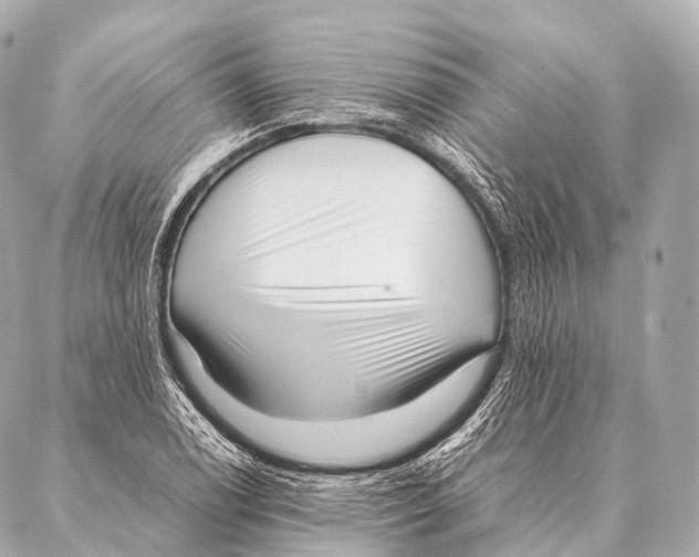 X0000087021122200705141849