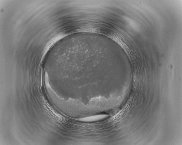 X0000087021123200705141849