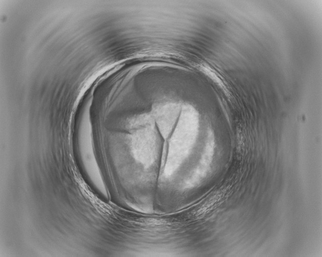 X0000087021124200705141849