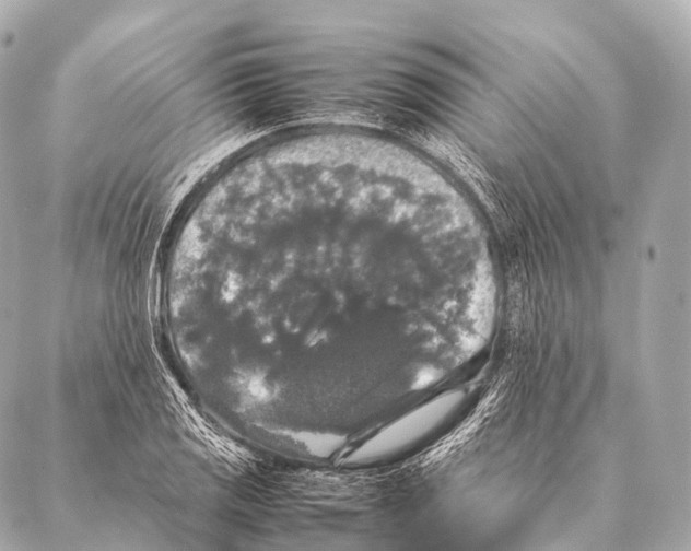 X0000087021125200705141850