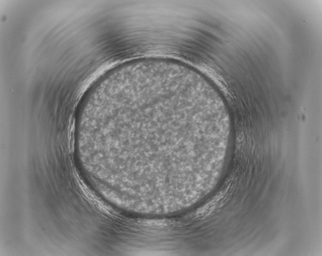 X0000087021126200705141850