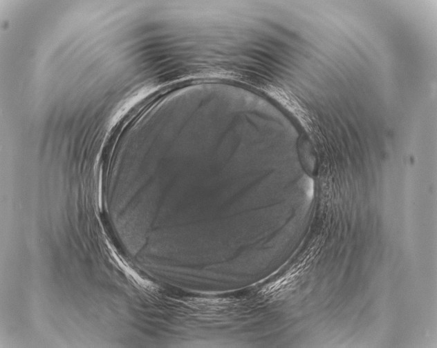 X0000087021127200705141850