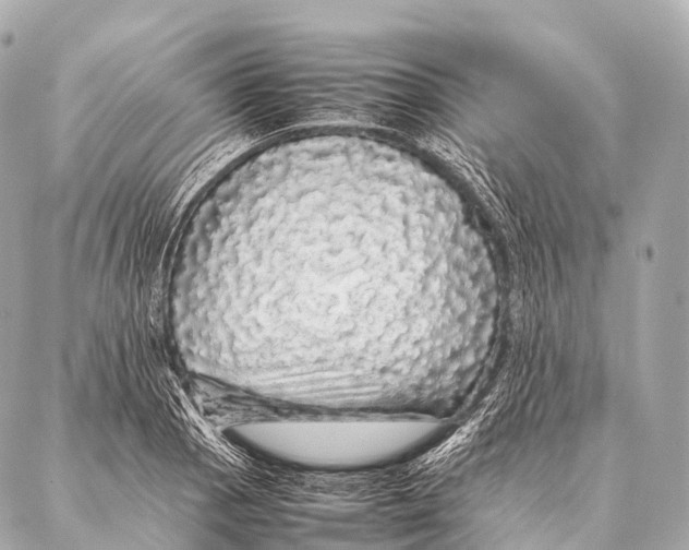 X0000087021129200705141850