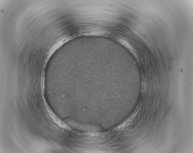 X0000087021130200705141850