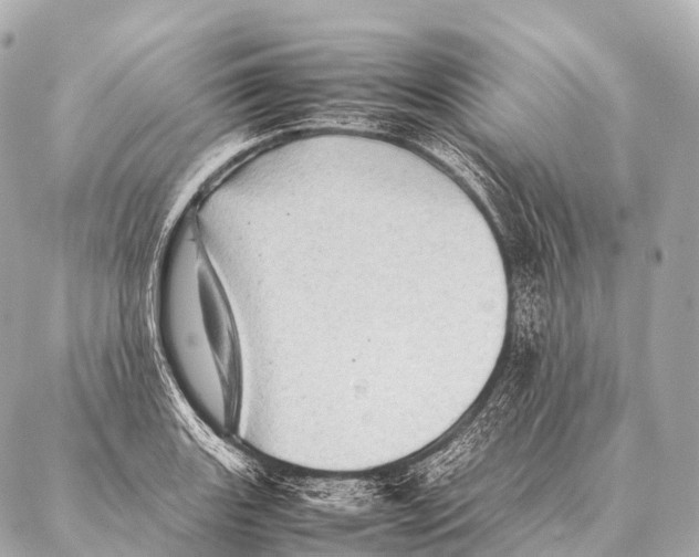 X0000087021131200705141850