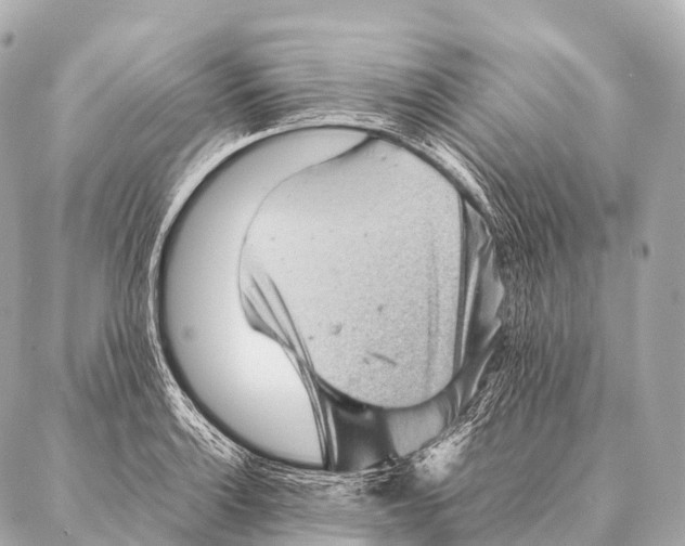 X0000087021132200705141850