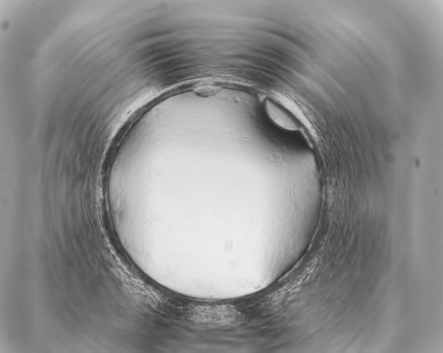 X0000087021133200705141850