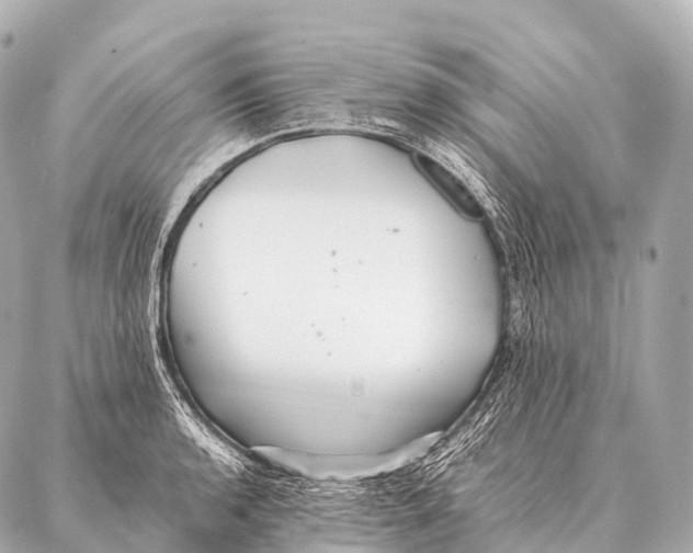 X0000087021136200705141850