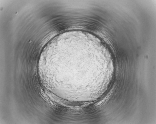 X0000087021137200705141850