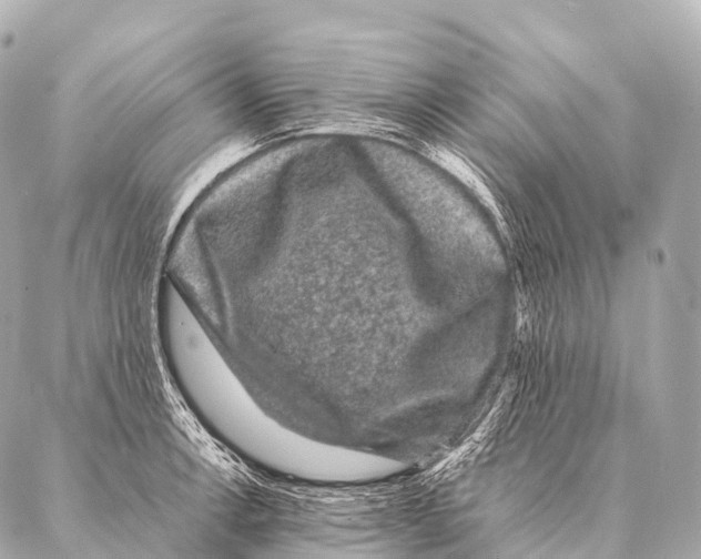 X0000087021138200705141850