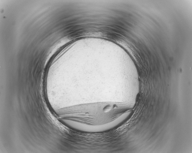 X0000087021139200705141850