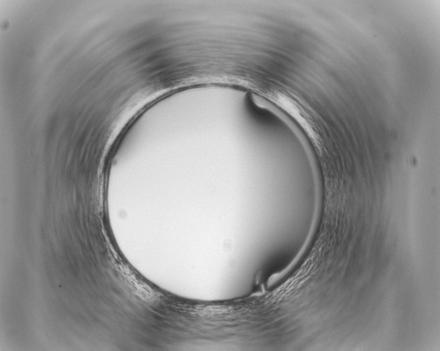 X0000087021140200705141850