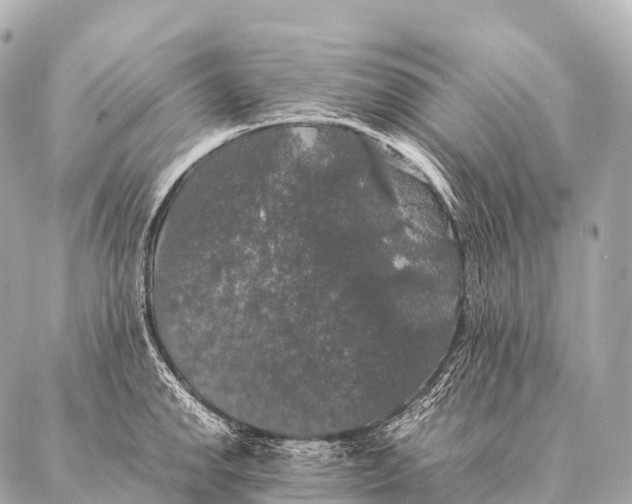 X0000087021142200705141850