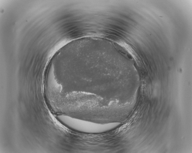 X0000087021143200705141850