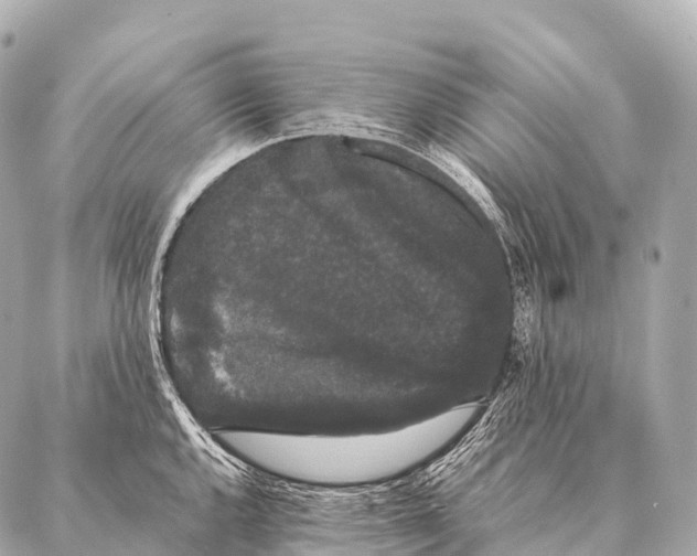 X0000087021144200705141850