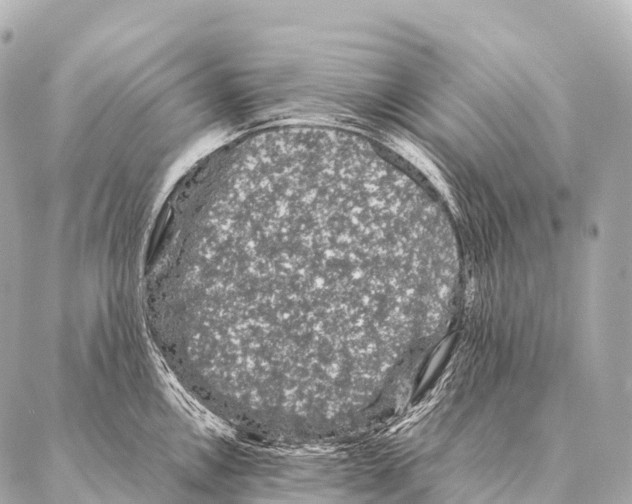 X0000087021146200705141850