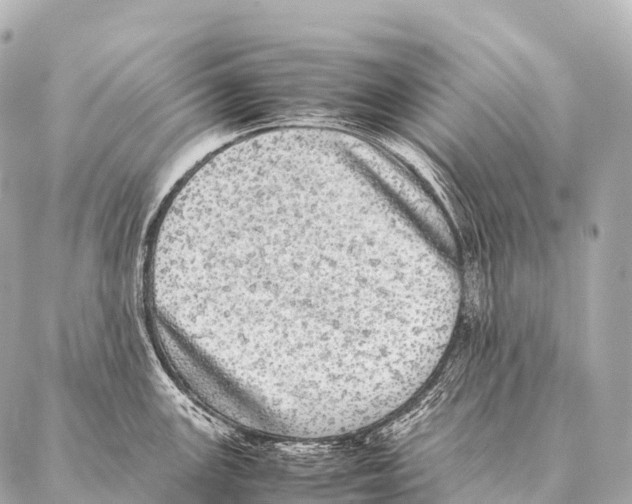 X0000087021147200705141850