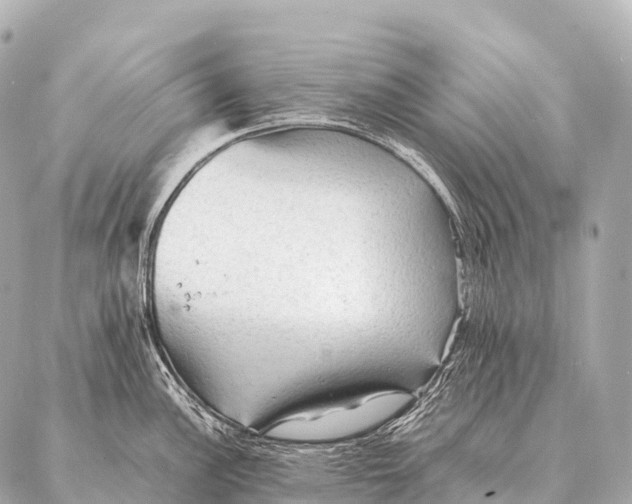 X0000087021148200705141850