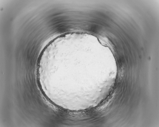 X0000087021149200705141850