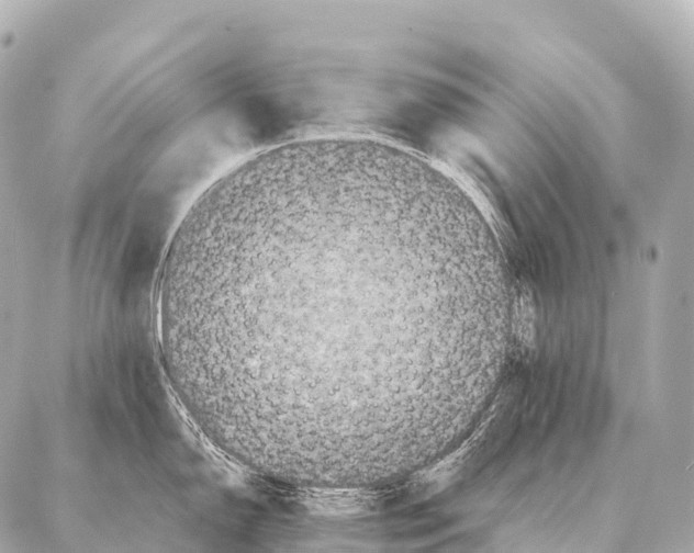 X0000087021150200705141850